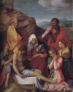 Andrea del Sarto Dead Christ and Virgin mary France oil painting artist